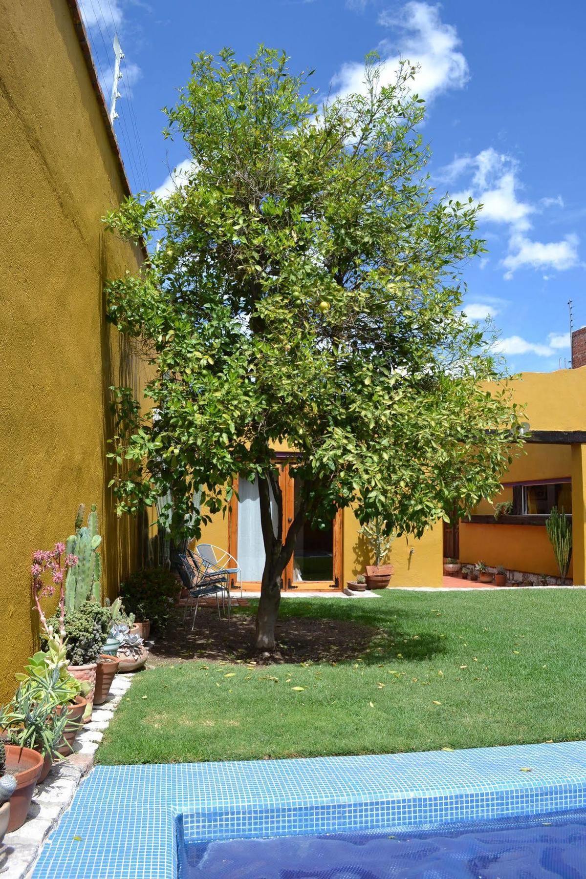 Hotel Casa Catalina San Luis Potosi Exterior photo
